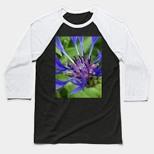 Centaurea Baseball T-Shirt